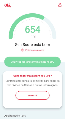 Score de Crédito no app de consulta ao CPF